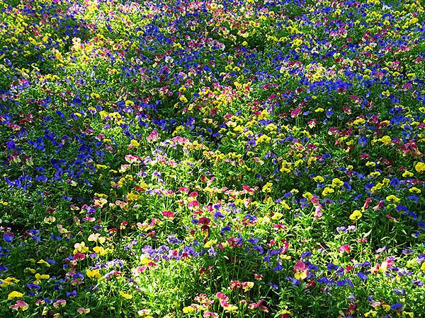 中國遼寧‧大連(九)‧青泥窪橋、勞動公園(Dalian IX