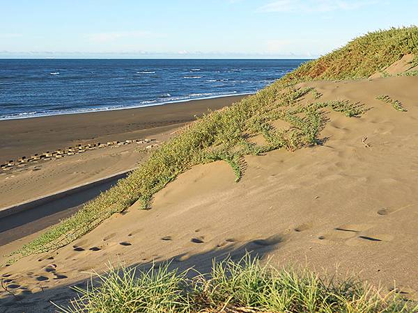 台灣‧桃園(二十一)‧草漯沙丘(Caota Sand Dun