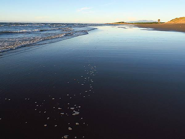 台灣‧桃園(二十一)‧草漯沙丘(Caota Sand Dun