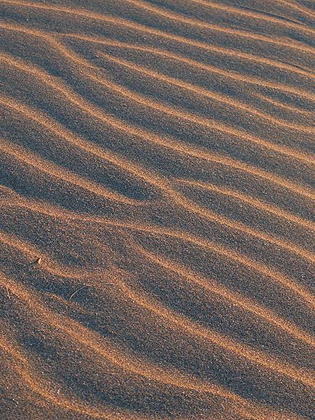 台灣‧桃園(二十一)‧草漯沙丘(Caota Sand Dun