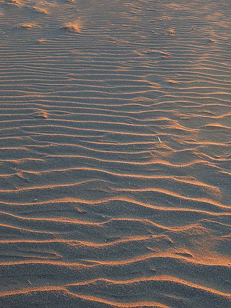台灣‧桃園(二十一)‧草漯沙丘(Caota Sand Dun
