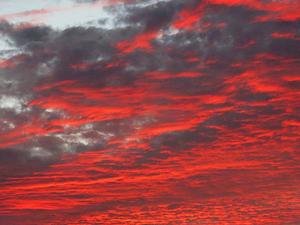 台灣‧桃園(二十一)‧草漯沙丘(Caota Sand Dun