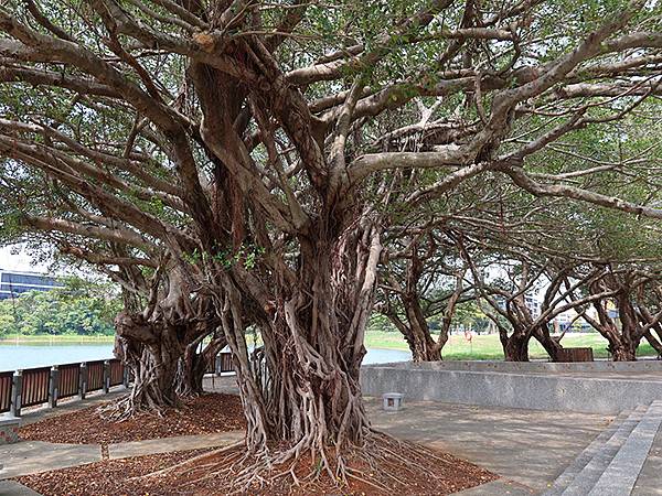 台灣‧桃園(二十二)‧橫山書法藝術館(Hengshan Ca 台灣‧桃園(二十二)‧橫山書法藝術館(Hengshan Ca