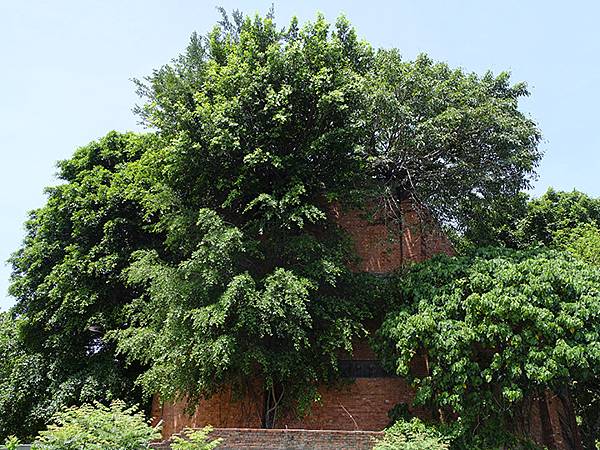 台灣‧雲林(六)‧虎尾(上)‧小鎮和糖廠(Huwei & D