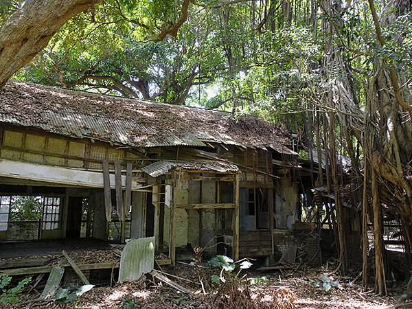 台灣‧雲林(六)‧虎尾(上)‧小鎮和糖廠(Huwei & D