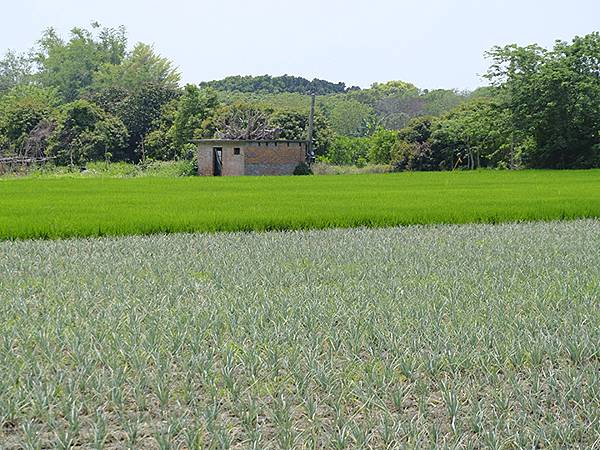 台灣‧雲林(七)‧虎尾(下)‧眷村和斗南(Huwei & D 台灣‧雲林(七)‧虎尾(下)‧眷村和斗南(Huwei & D
