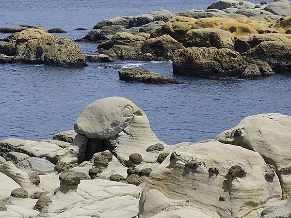 台灣‧基隆(十一)‧和平島阿拉寶灣(Heping Islan