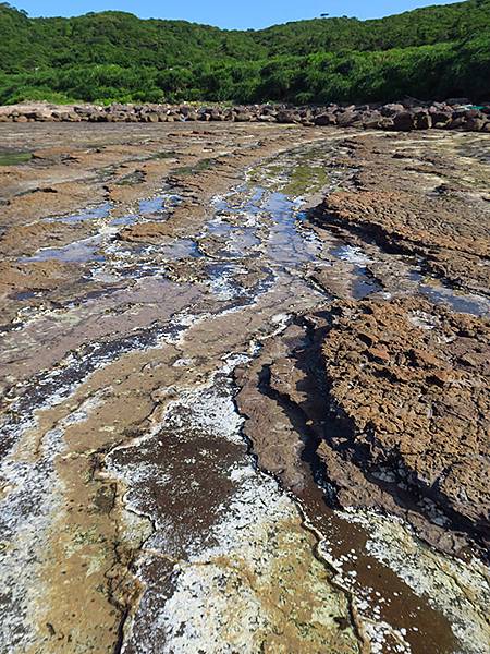 台灣東北角(三十一)‧福隆(七)‧潮間帶(Fulong VI