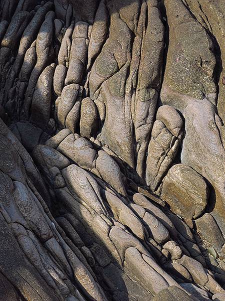 台灣東北角(三十一)‧福隆(七)‧潮間帶(Fulong VI