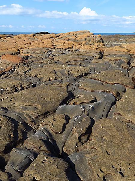 台灣東北角(三十一)‧福隆(七)‧潮間帶(Fulong VI