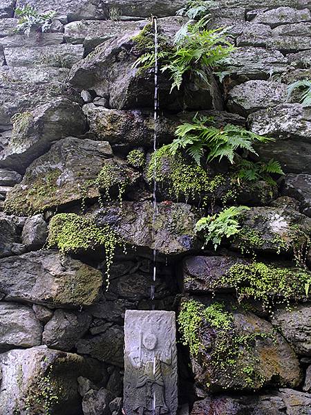 日本‧和歌山市(Wakayama)
