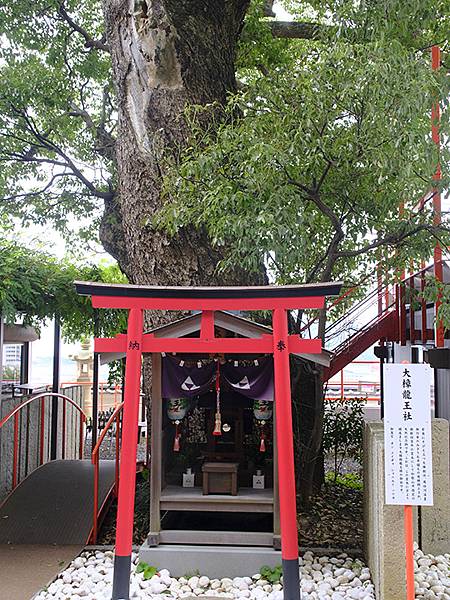 日本‧和歌山市(Wakayama)