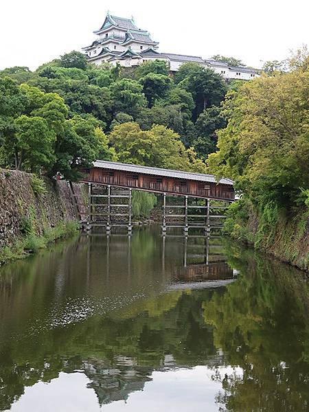 日本‧和歌山市(Wakayama)