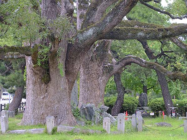 日本‧和歌山市(Wakayama)