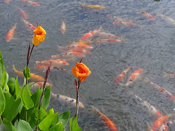 日本‧三原(Mihara) 日本‧三原(Mihara)