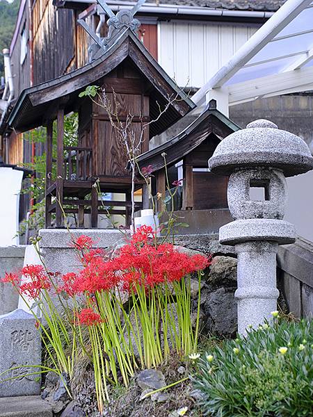 日本‧三原(Mihara) 日本‧三原(Mihara)