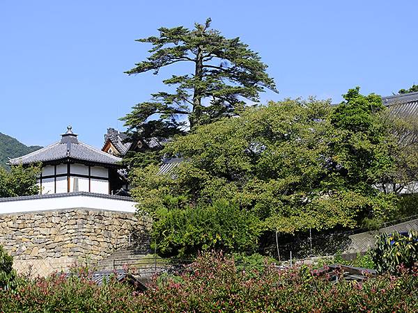 日本‧生口島和耕三寺(Ikuchijima Island) 日本‧生口島和耕三寺(Ikuchijima Island)