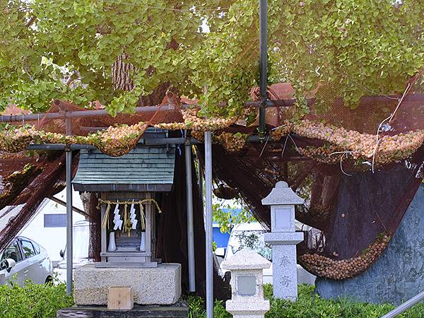 日本‧下關(Shimonoseki)