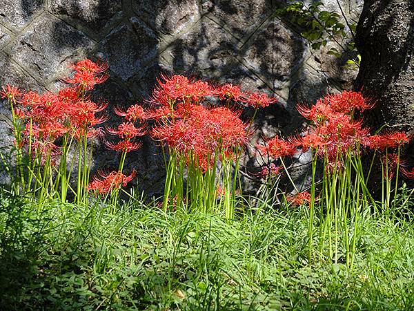 日本‧關門海峽(Kanmon Strait)