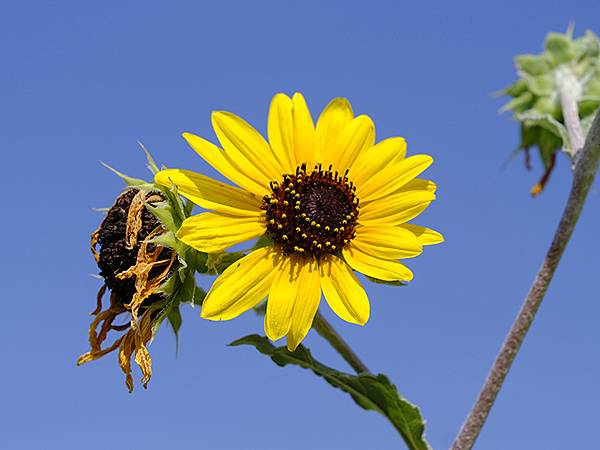 日本‧關門海峽(Kanmon Strait)
