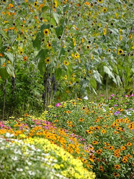 日本‧關門海峽(Kanmon Strait)