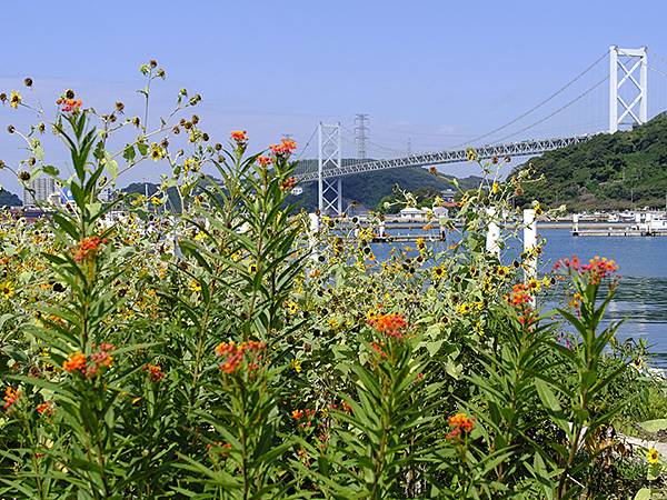 日本‧關門海峽(Kanmon Strait)