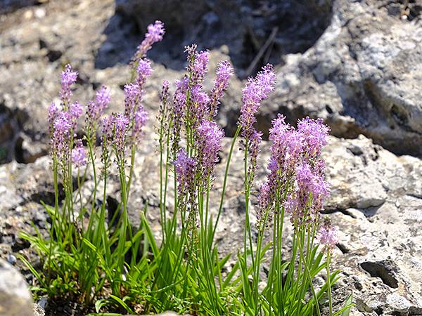 日本‧關門海峽(Kanmon Strait)