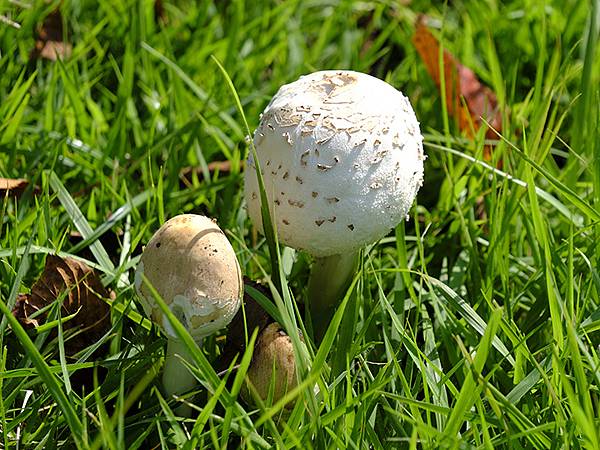 日本‧關門海峽(Kanmon Strait)