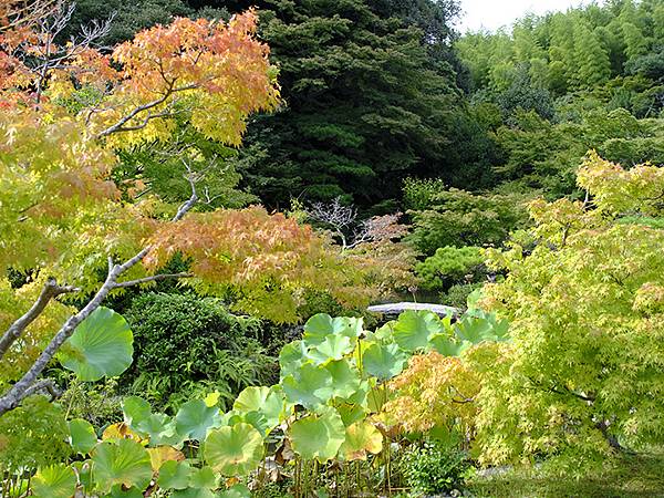 日本‧長府(上)‧長府庭園和毛利邸(Chofu I)