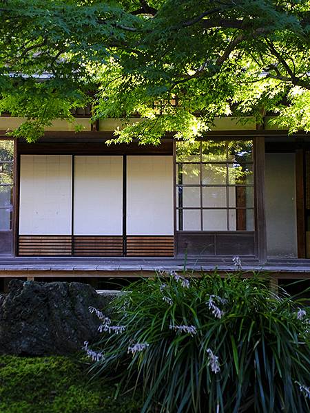 日本‧長府(上)‧長府庭園和毛利邸(Chofu I)