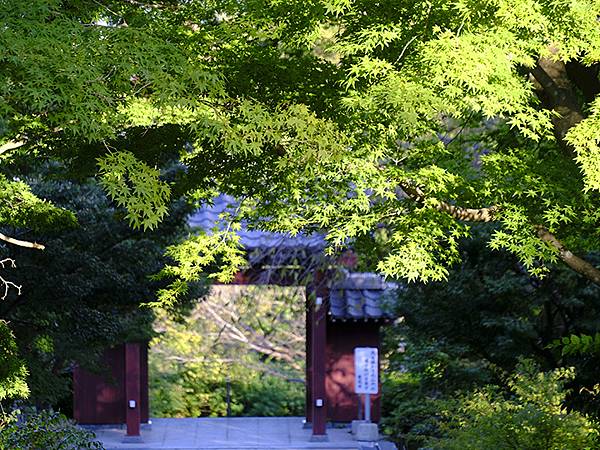 日本‧長府(下)‧城下町(Chofu II)
