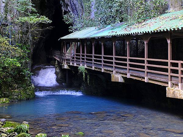 日本‧秋芳洞和秋吉台(Akiyoshido & Akiyos