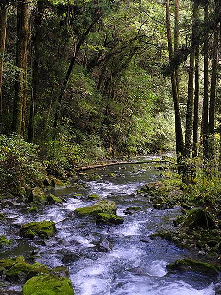 日本‧秋芳洞和秋吉台(Akiyoshido & Akiyos