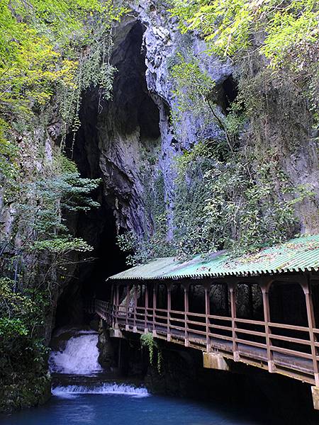日本‧秋芳洞和秋吉台(Akiyoshido & Akiyos