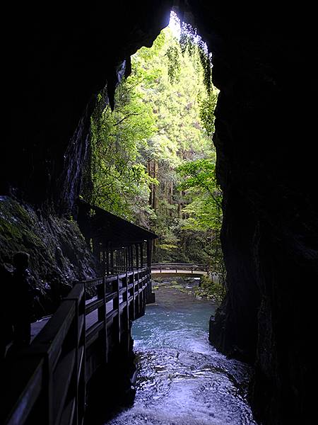 日本‧秋芳洞和秋吉台(Akiyoshido & Akiyos