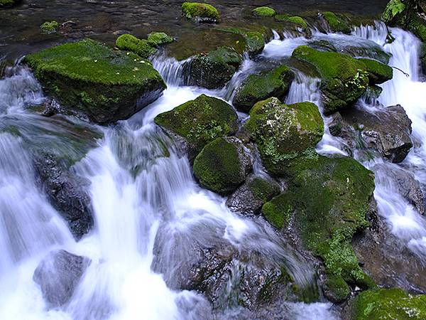 日本‧秋芳洞和秋吉台(Akiyoshido & Akiyos