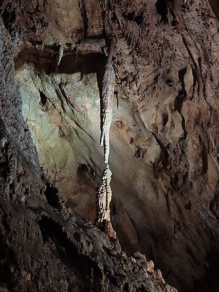 日本‧秋芳洞和秋吉台(Akiyoshido & Akiyos