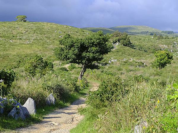 日本‧秋芳洞和秋吉台(Akiyoshido & Akiyos