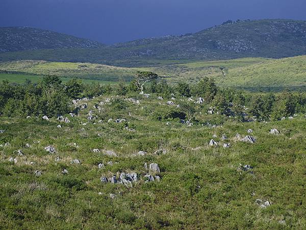 日本‧秋芳洞和秋吉台(Akiyoshido & Akiyos