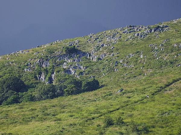日本‧秋芳洞和秋吉台(Akiyoshido & Akiyos