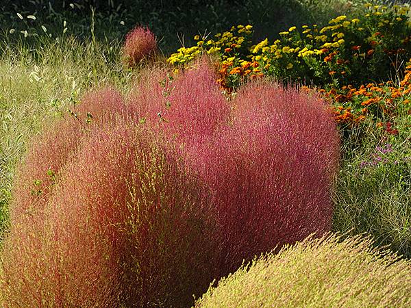 日本‧萩(下)‧城下町和浜崎傳建地區(Hagi II) 日本‧萩(下)‧城下町和浜崎傳建地區(Hagi II)