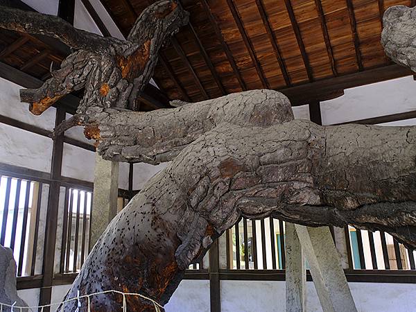 日本‧播州秋祭(一)‧高砂(上)‧舊市區和神幸祭(Takas 日本‧播州秋祭(一)‧高砂(上)‧舊市區和神幸祭(Takas