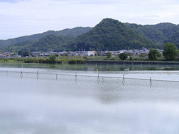 日本‧播州秋祭(四)‧甲八幡神社(Banshu Autumn 日本‧播州秋祭(四)‧甲八幡神社(Banshu Autumn