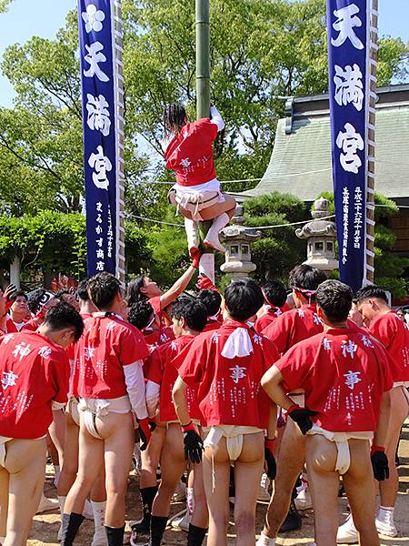 日本‧播州秋祭(八)‧曾根天滿宮(下)‧昼宮(Sone Ma 日本‧播州秋祭(八)‧曾根天滿宮(下)‧昼宮(Sone Ma