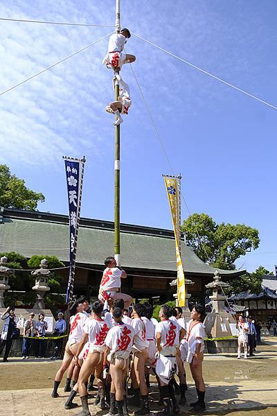 日本‧播州秋祭(八)‧曾根天滿宮(下)‧昼宮(Sone Ma 日本‧播州秋祭(八)‧曾根天滿宮(下)‧昼宮(Sone Ma