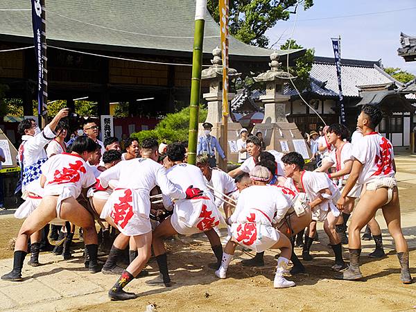 日本‧播州秋祭(八)‧曾根天滿宮(下)‧昼宮(Sone Ma 日本‧播州秋祭(八)‧曾根天滿宮(下)‧昼宮(Sone Ma