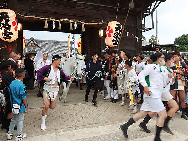 日本‧播州秋祭(八)‧曾根天滿宮(下)‧昼宮(Sone Ma 日本‧播州秋祭(八)‧曾根天滿宮(下)‧昼宮(Sone Ma