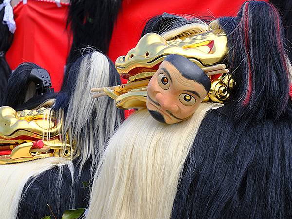 日本‧播州秋祭(十一)‧大塩天滿宮(下)‧毛獅子舞(Oshi 日本‧播州秋祭(十一)‧大塩天滿宮(下)‧毛獅子舞(Oshi