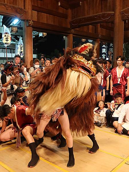 日本‧播州秋祭(十一)‧大塩天滿宮(下)‧毛獅子舞(Oshi 日本‧播州秋祭(十一)‧大塩天滿宮(下)‧毛獅子舞(Oshi