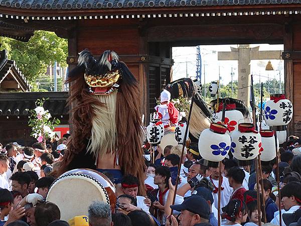 日本‧播州秋祭(十一)‧大塩天滿宮(下)‧毛獅子舞(Oshi 日本‧播州秋祭(十一)‧大塩天滿宮(下)‧毛獅子舞(Oshi